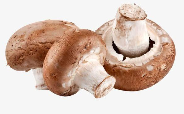 蘑菇的禁忌搭配都有哪些