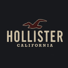 霍利斯特（Hollister）是哪个国家的品牌（牌子）
