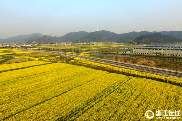 ob官方旗舰店在线登录相关推荐4