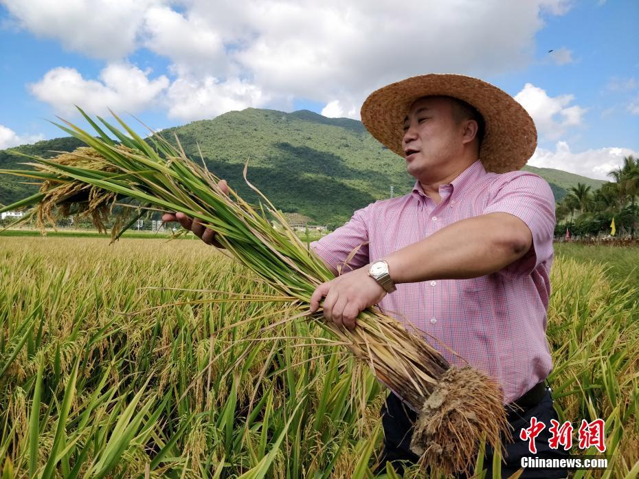 乐鱼在线登录官网相关推荐3