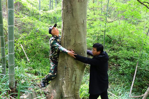 江南官方入口-城中之城开播