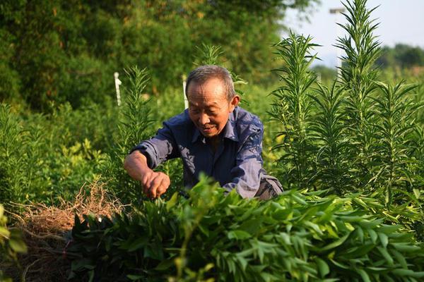 开云官方下载开云app相关推荐9