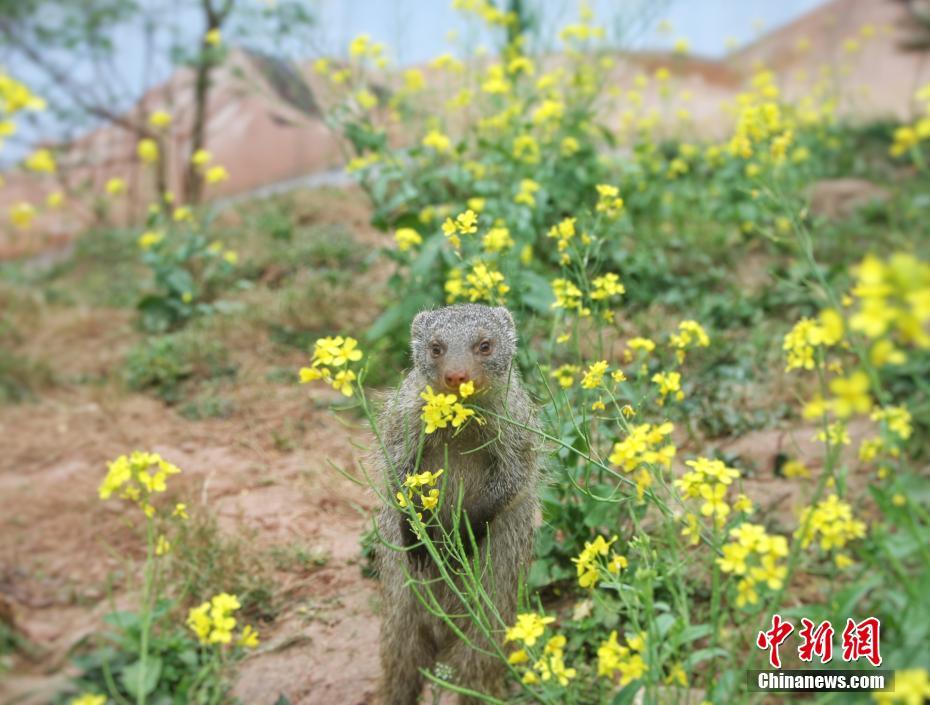 博奥体育app在线下载