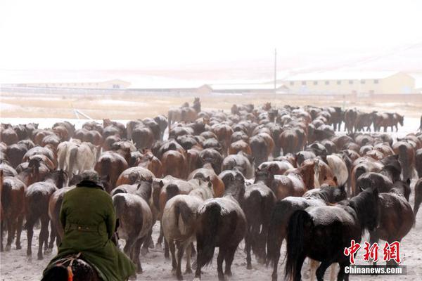 开云游戏app平台-一乡一节庆
，河池罗城打响主题文化旅游活动第一炮