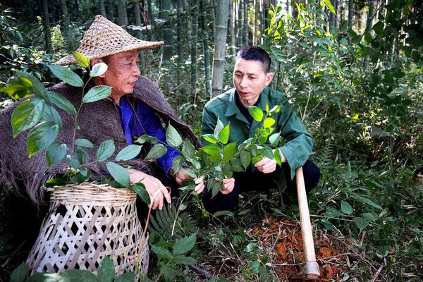 千赢在线国际相关推荐10