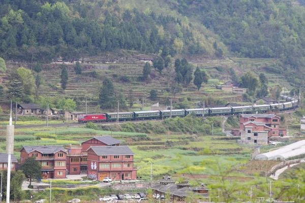 开云电子娱乐-“提灯定损”之地探访
	：村里住着很多陪读妈妈，当地民宿遭大量退订