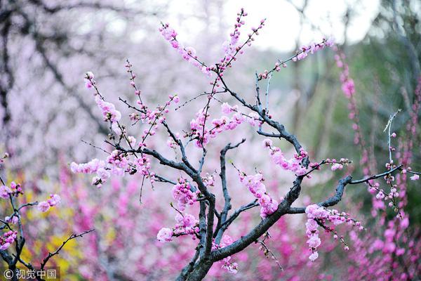 乐鱼在线官网平台-中国学生学者遭美国遣返？中方回应