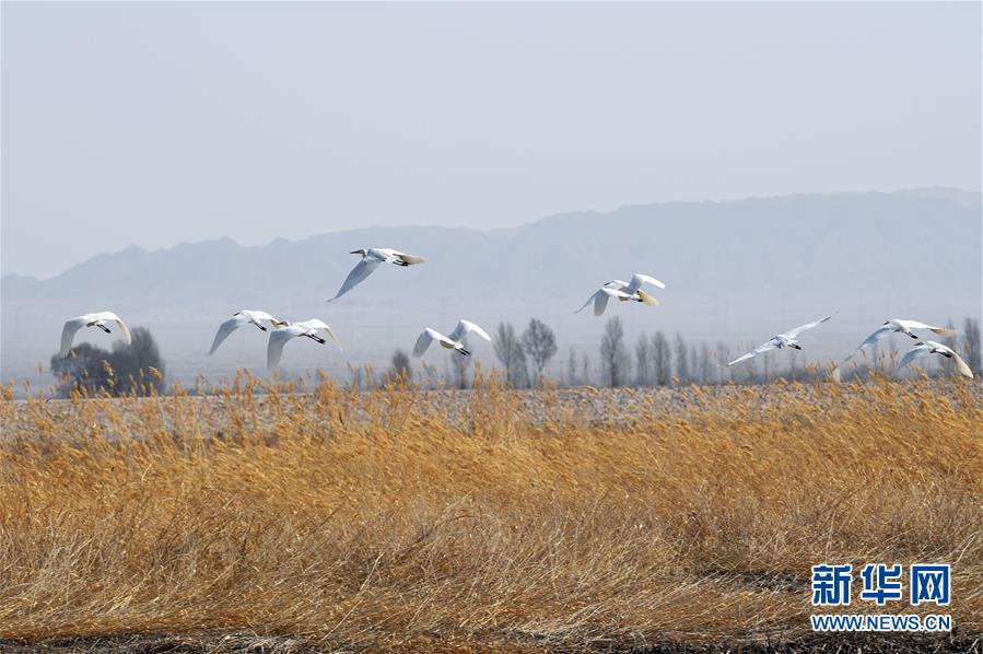 kok电竞首页-为什么抠脚后总是想要闻一下手