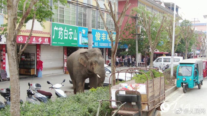 开云app苹果下载相关推荐3