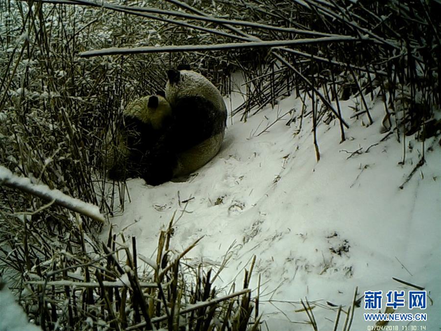 半岛在线体育官网相关推荐7