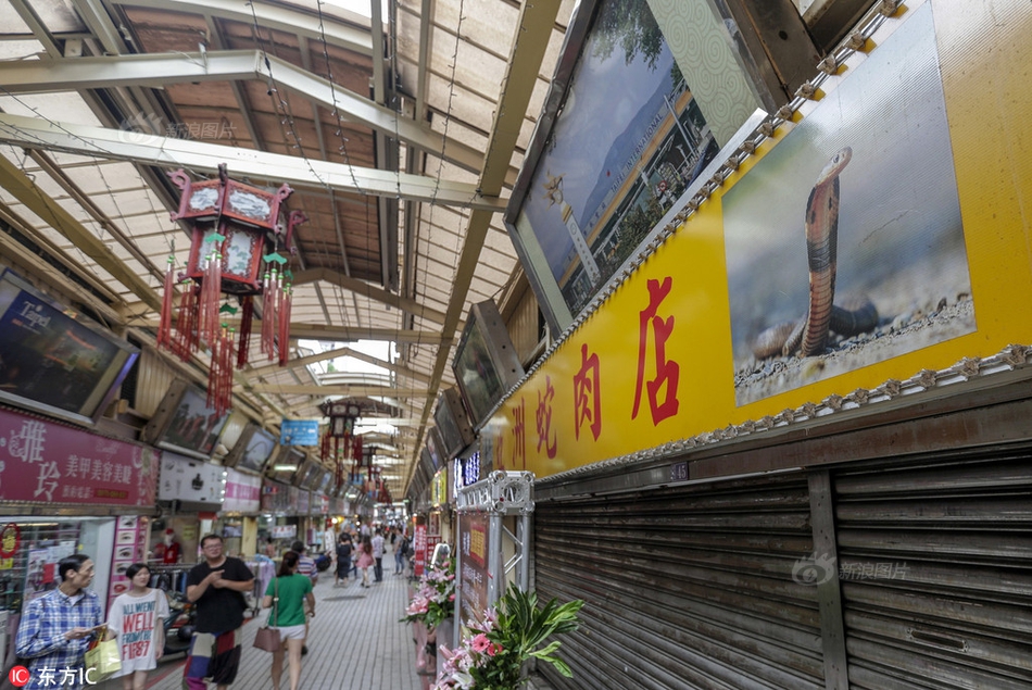 ob官方旗舰店在线登录