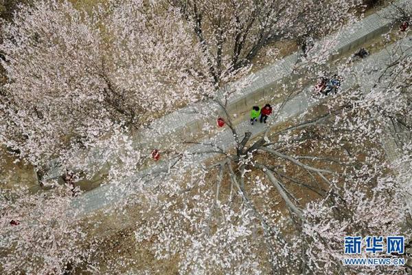 半岛在线体育网相关推荐9