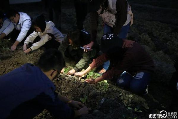 开云电子娱乐-“提灯定损”又现浙江？