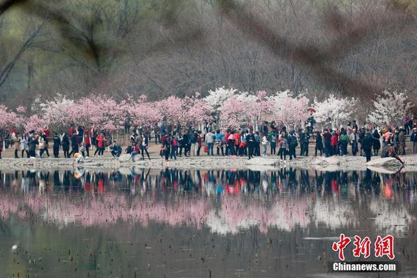 乐竞官网登录入口相关推荐1