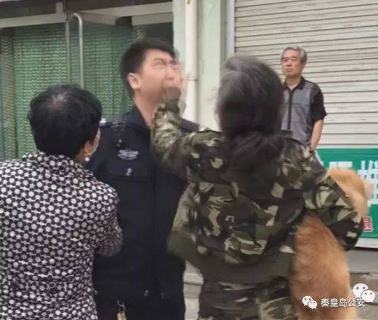 半岛官网网页版相关推荐10