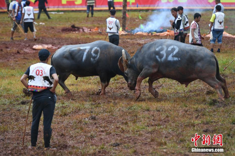 米兰体育官网入口下载-侯宝林老前辈的相声好笑吗�？