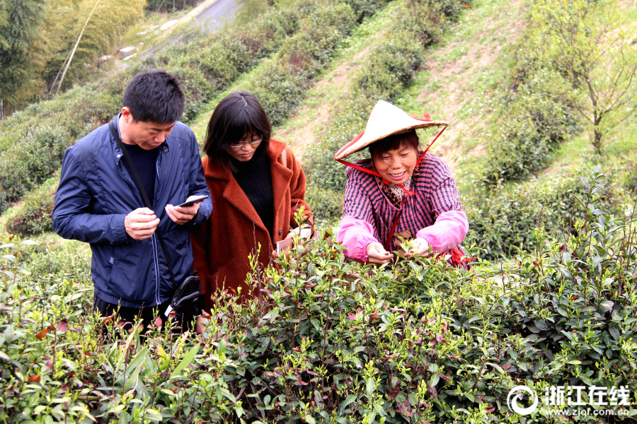 好运彩app下载-日本发布海啸警报