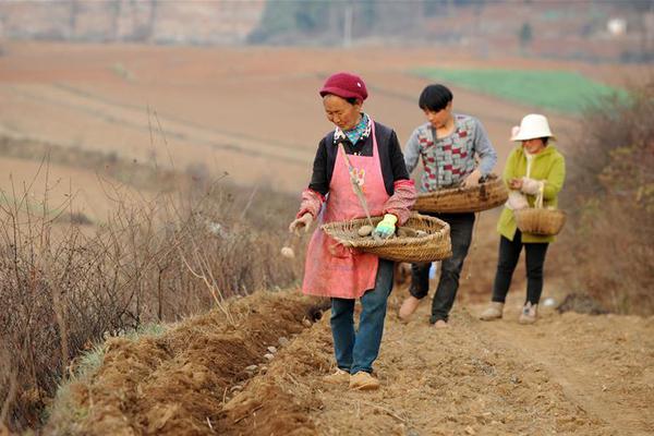 牛牛金花游戏app相关推荐7