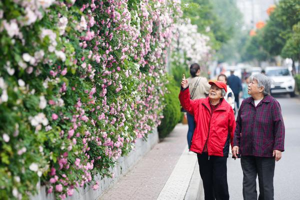 开云体验app官方入口-带年长的父母外出旅游，要注意什么？