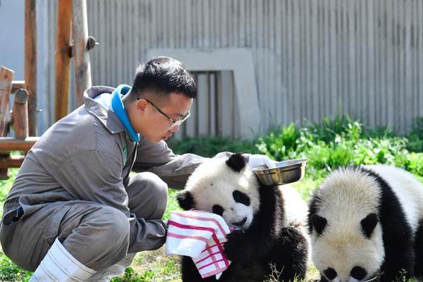 开云苹果下载app相关推荐4