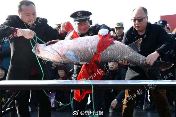 江南登录入口app下载-孙宇晨拍巴菲特午餐