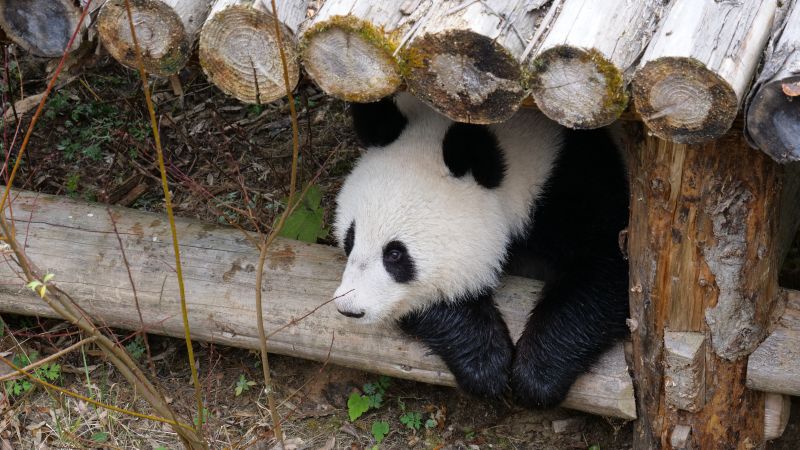 欧宝ob官方网站-欧宝ob官方网站