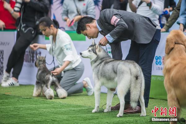 b体育登录入口-马英九
：参观故宫受灵魂震撼