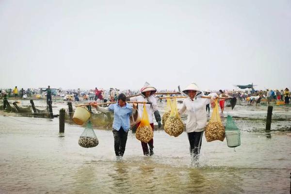 半岛在线登录官网相关推荐8