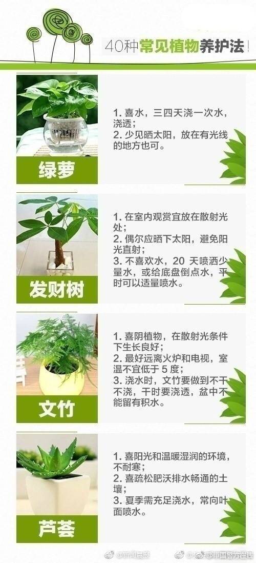 十大滚球app官网相关推荐8