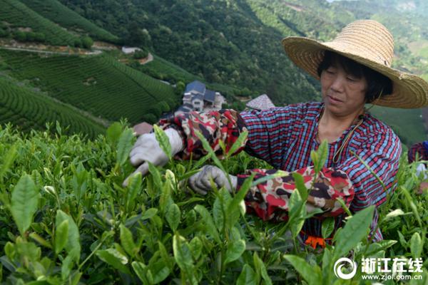 买球赛的网站-安徽启动青年专家科技助农服务活动