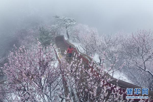 澳门十大靠谱网投平台-《重生之我在霸总短剧里当保姆8》