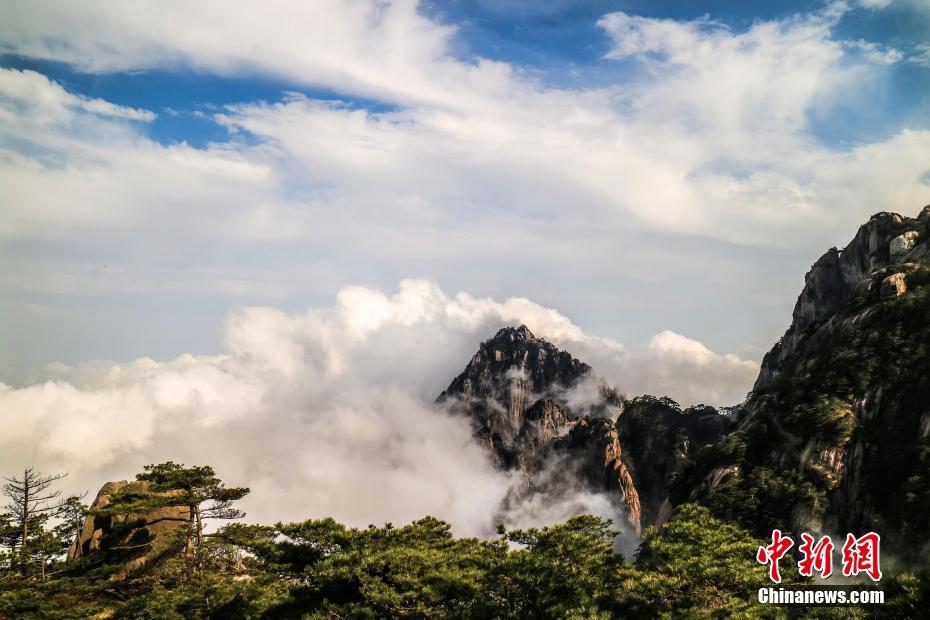 星空体育在线登录