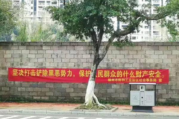 开云手机在线官网相关推荐9