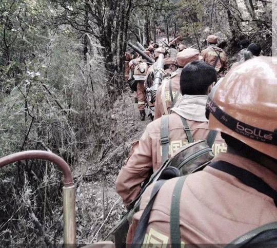 乐鱼在线官网平台-清明假期国内旅游出游1.19亿人次�，国内游客花费539.5亿