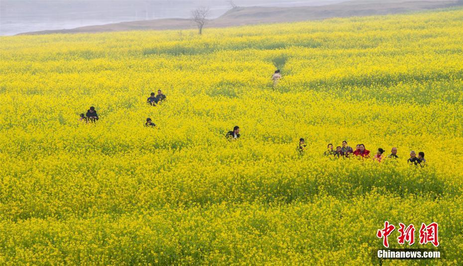 半岛网页版登录入口相关推荐7