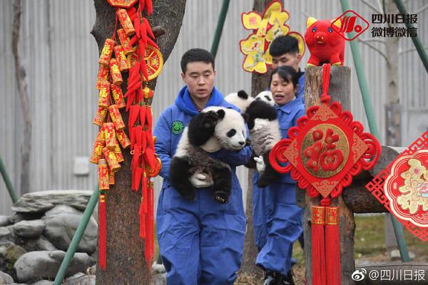 亚信平台注册相关推荐4