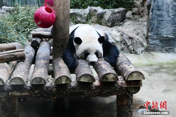 开云在线登录官网-开云在线登录官网