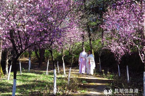 线上赌彩官网-浙大女生23年前写的励志标语火了