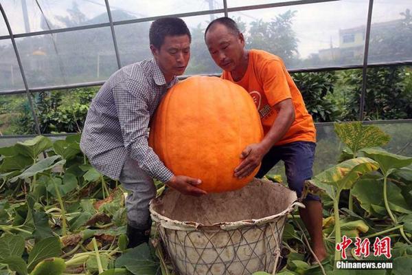 乐鱼在线登录入口-视频剪辑