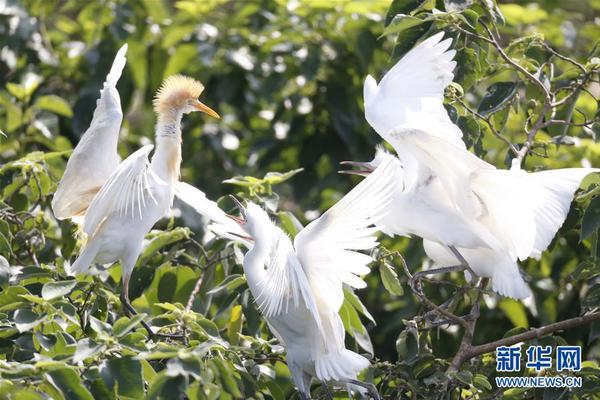 赚钱网站入口-今年第19“虎”：担任中国电科集团副总经理不到一年的何文忠被查