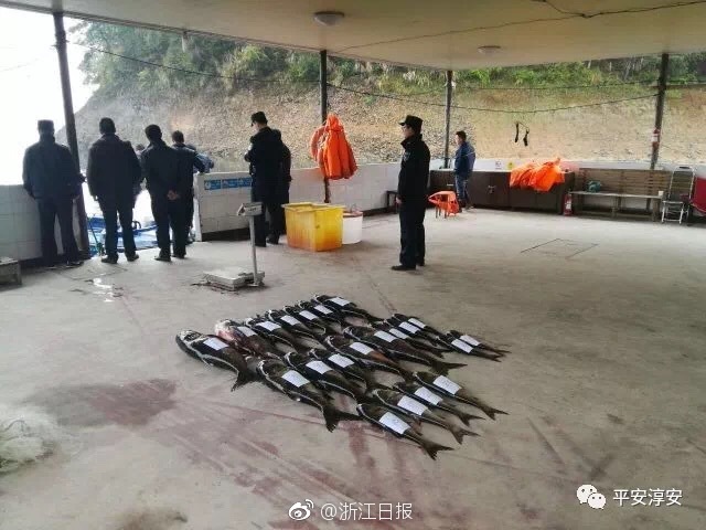 开云游戏app平台-低龄未成年人严重暴力犯罪可通过核准追诉依法追究刑责
，专家解读