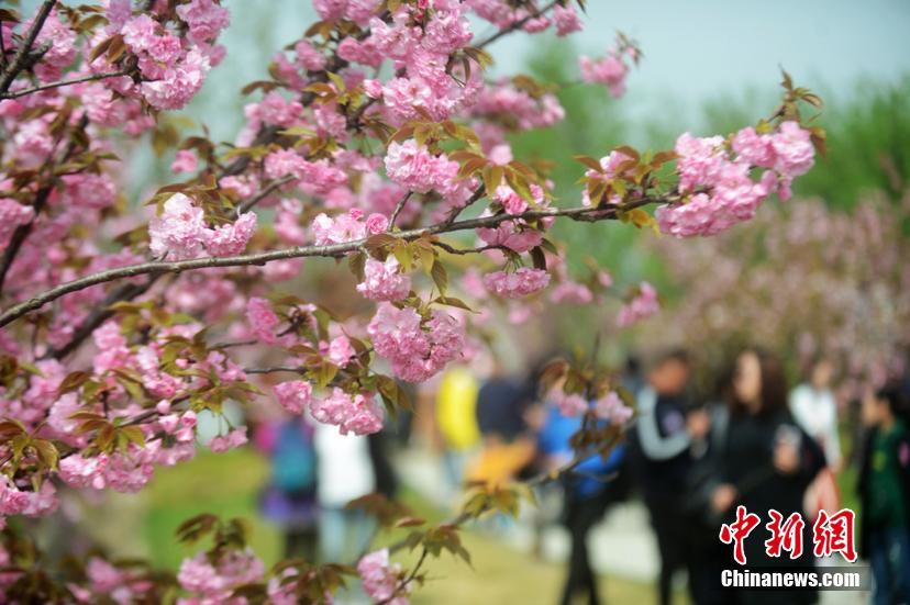 半岛在线体育官网下载