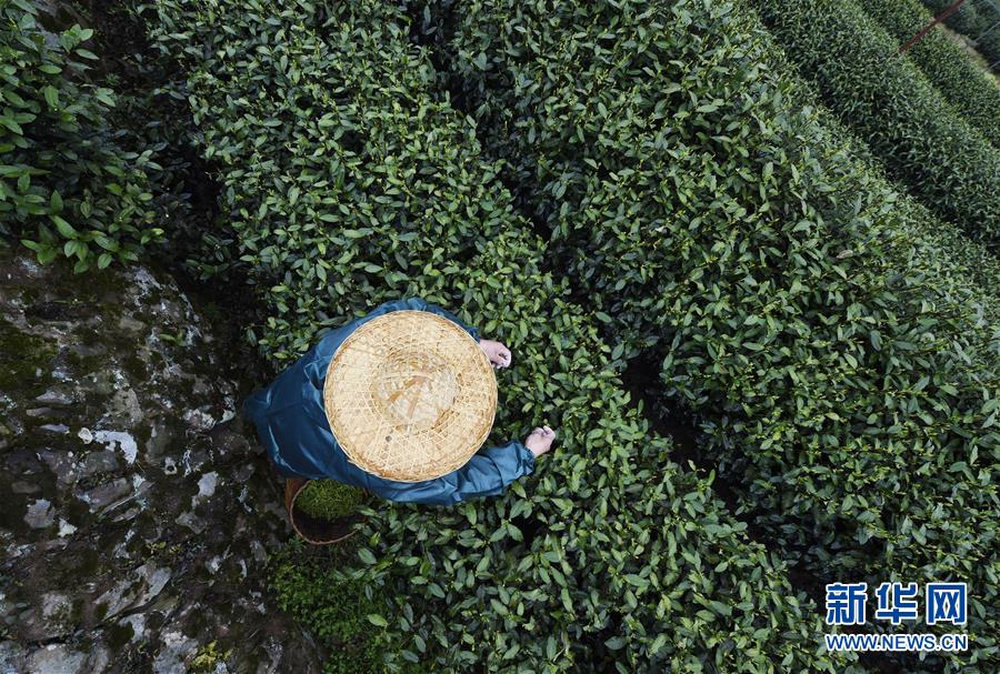 环球体育登录入口-教育局回应女中学生疑遭霸凌跳楼