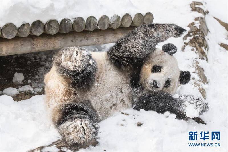 半岛在线登录下载-半岛在线登录下载