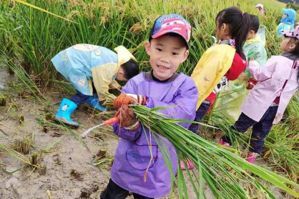 半岛在线体育网相关推荐10