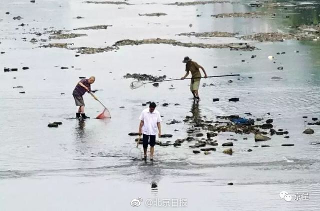 985娱乐下载-浙大女生23年前写的励志标语火了