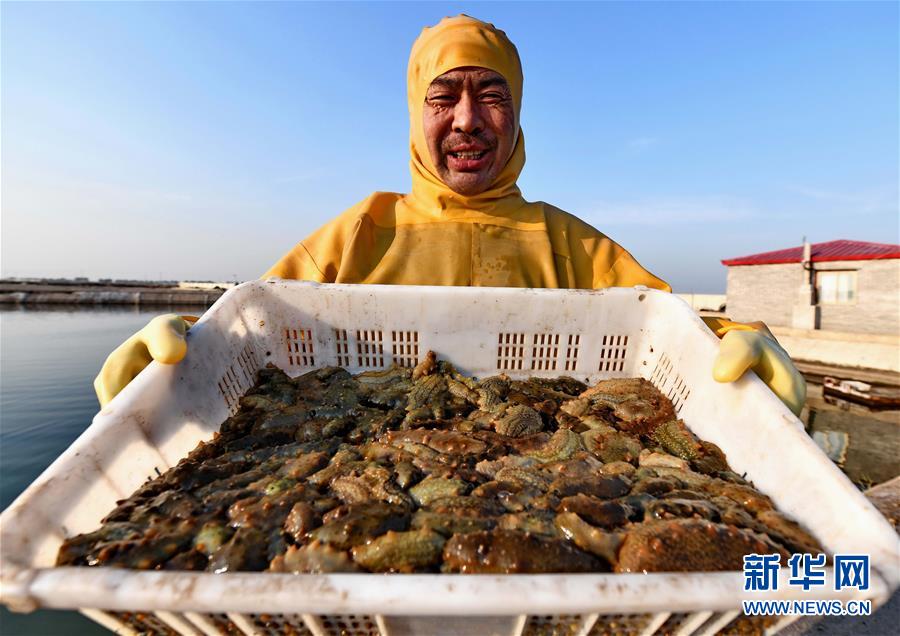 半岛在线登录下载-半岛在线登录下载