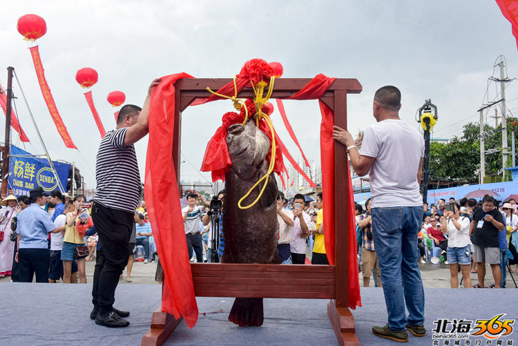 半岛在线体育官网下载