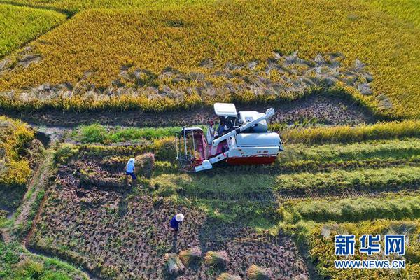 半岛在线体育官网下载相关推荐1