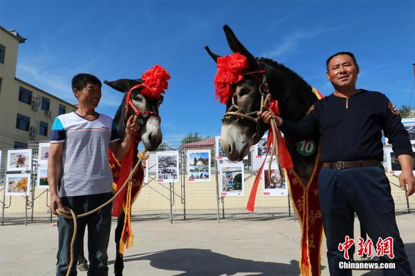 银河十大平台相关推荐6